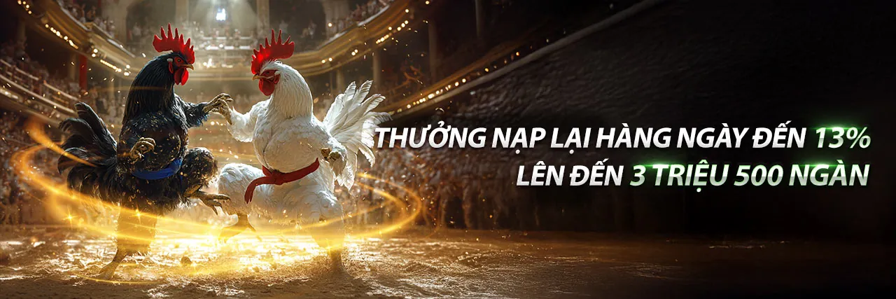 Các chương trình khuyến mãi và ưu đãi độc quyền tại 1888b link mới