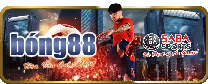 Hướng dẫn cá cược thể thao